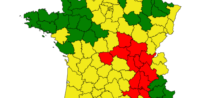 Risque élevé pour les pollens d’ambroisie