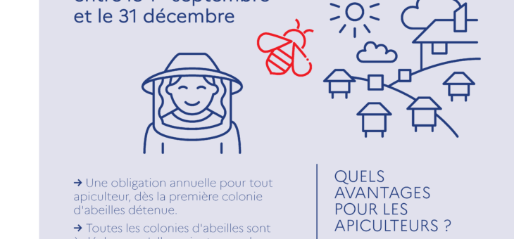 Apiculture – Déclaration de ruches 2024